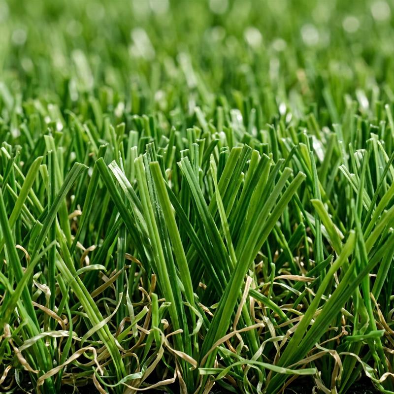 Premium Artificial Grass installation by Rio Enterprises