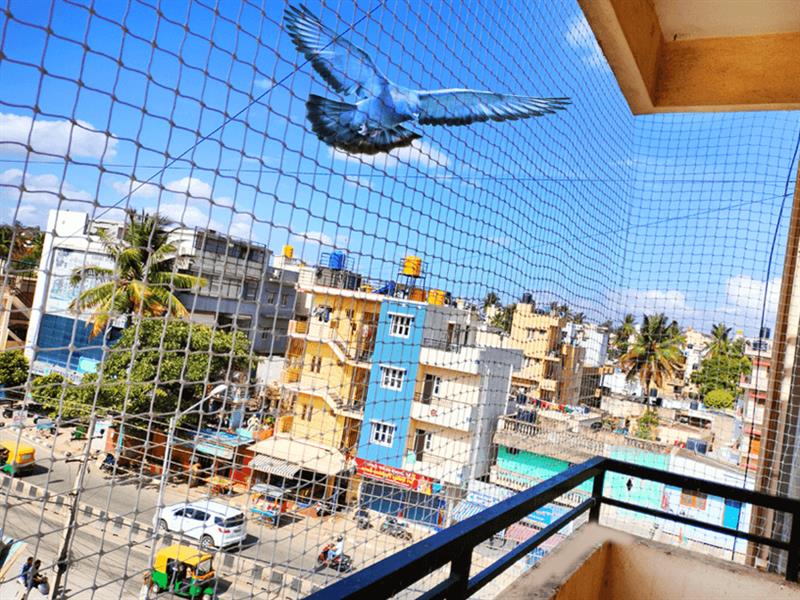 Pigeon Safety Nets installation services by Rio Enterprises